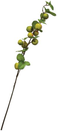 33 Inch Apple Branch Stem For Arrangement