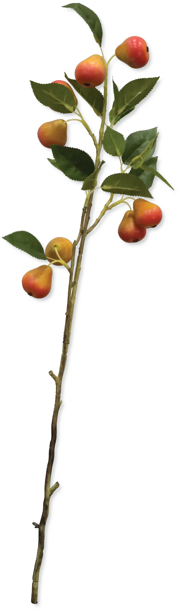 28 Inch Pear Branch Stem For Arrangement-1