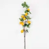 32 Inch Lemon Branch Stem For Arrangement