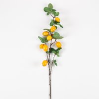 32 Inch Lemon Branch Stem For Arrangement