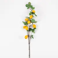 32 Inch Lemon Branch Stem For Arrangement