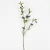 32 Inch Olive Branch Stem For Arrangement