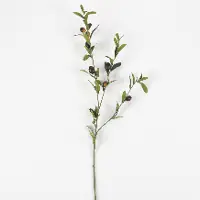 32 Inch Olive Branch Stem For Arrangement