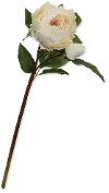 22 Inch White Peony Stem For Arrangement