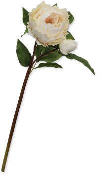 22 Inch White Peony Stem For Arrangement
