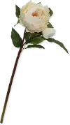 Clearance 22 Inch White Peony Stem For Arrangement