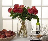 24 Inch Protea Stem For Arrangement-2