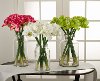 29 Inch Green Amaryllis Stem For Arrangement-2