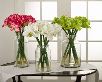 29 Inch Green Amaryllis Stem For Arrangement-2