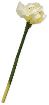 Clearance 29 Inch White Amaryllis Faux Stem for Arrangement