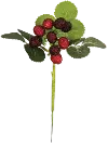Clearance 11 Inch Strawberry Stem For Arrangement