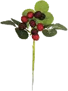 Clearance 11 Inch Strawberry Stem For Arrangement