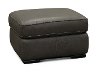 U291-253/10YO/OT Classic Contemporary Gray Leather Storage Ottoman - Luciano