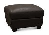 U924-010/10YM/OT Casual Traditional Chocolate Leather Storage Ottoman - Claudio