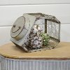 12 Inch Metal Decorative Produce Lidded Canister-2