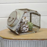 12 Inch Metal Decorative Produce Lidded Canister-2