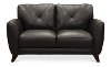Modern Dark Brown Leather Loveseat - Colours