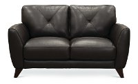 Modern Dark Brown Leather Loveseat - Colours