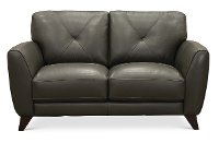 Modern Dark Gray Leather Loveseat - Colours