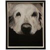 Transitional Dog Textured Framed Print Wall Art