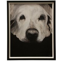 Transitional Dog Textured Framed Print Wall Art