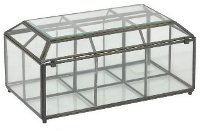 Glass Box with Dividers