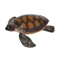 Brown Resin Tortoise Figurine