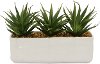 Faux Succulent Arrangement in Pot