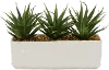 Faux Succulent Arrangement in Pot