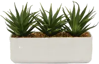 Faux Succulent Arrangement in Pot
