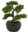 Faux Bonsai Arrangement In Pot