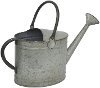 Galvanized Metal Watering Can With Handles