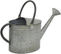 Galvanized Metal Watering Can With Handles