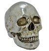 Skull Table Top Decoration