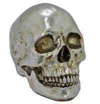 Skull Table Top Decoration