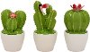 Assorted Green Ceramic Cactus Topped Jar