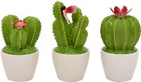 Assorted Green Ceramic Cactus Topped Jar