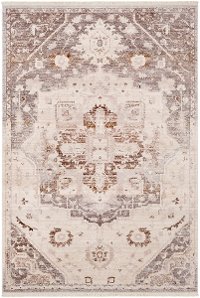 EPC2316-23 2 x 3 X-Small Beige, Brown and Gray Area Rug - Ephesians
