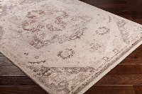EPC2316-23 2 x 3 X-Small Beige, Brown and Gray Area Rug - Ephesians-2