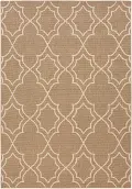 8 x 11 X-Large Camel and Cream Indoor-Outdoor Rug - Alfresco