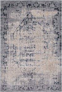DUR1009-912 9 x 12 X-Large Charcoal Gray and Beige Area Rug - Durham