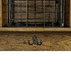 CF6018-CO Coffee Entryway Shelf - Fremont-4