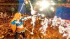 SWI HACPAKUTB Hyrule Warriors Definitive Edition - Nintendo Switch-3