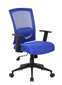 Blue Mesh-Back Task Chair