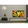 XBR60X830F Sony X830F Series 60 Inch LED 4K Ultra HD HDR Smart TV (Android TV)-3