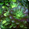 Clearance Nature's Glow Patio Canvas Outdoor-Indoor Wall Art