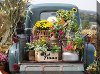 Fresh Produce Patio Canvas Outdoor-Indoor Wall Art