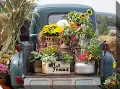 Fresh Produce Patio Canvas Outdoor-Indoor Wall Art