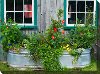 Tub Of Flowers Patio Canvas Outdoor-Indoor Wall Art