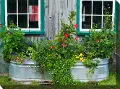 Tub Of Flowers Patio Canvas Outdoor-Indoor Wall Art